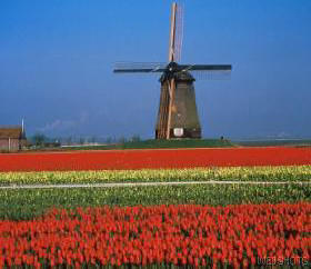 Holland